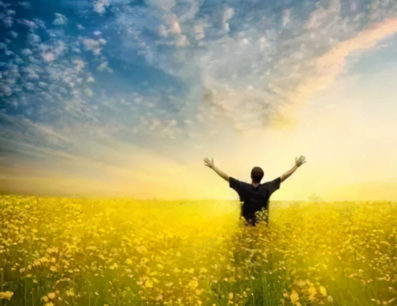 程序员因为学不到技术想离职,程序员做技术的出路