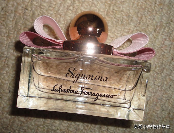 闻香识女人香水小样,女士香水选购攻略
