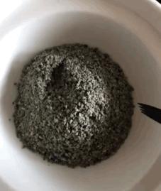 假期出行猫咪怎么安置,出去游玩5天猫咪该怎么办