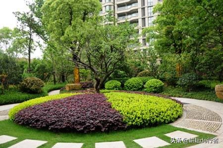 常见园林草坪病虫害杀菌剂有哪些,园林植物常见病虫害ppt