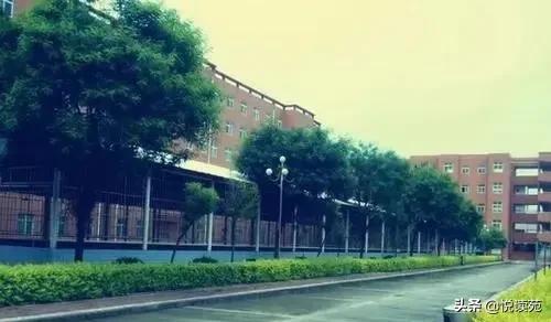 刘力：往事如烟之我的文理时代——凤鸣岐山