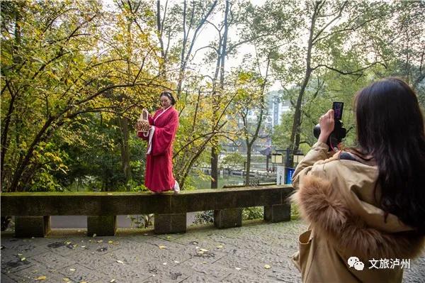 泸州的腊梅花在什么地方,泸州腊梅花观赏