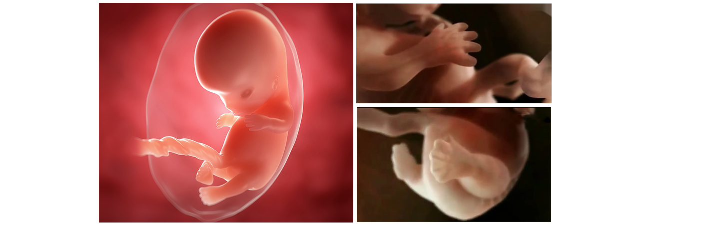 孕7周胚胎发育缓慢怎样才能更好,胎教0-6个月完整版