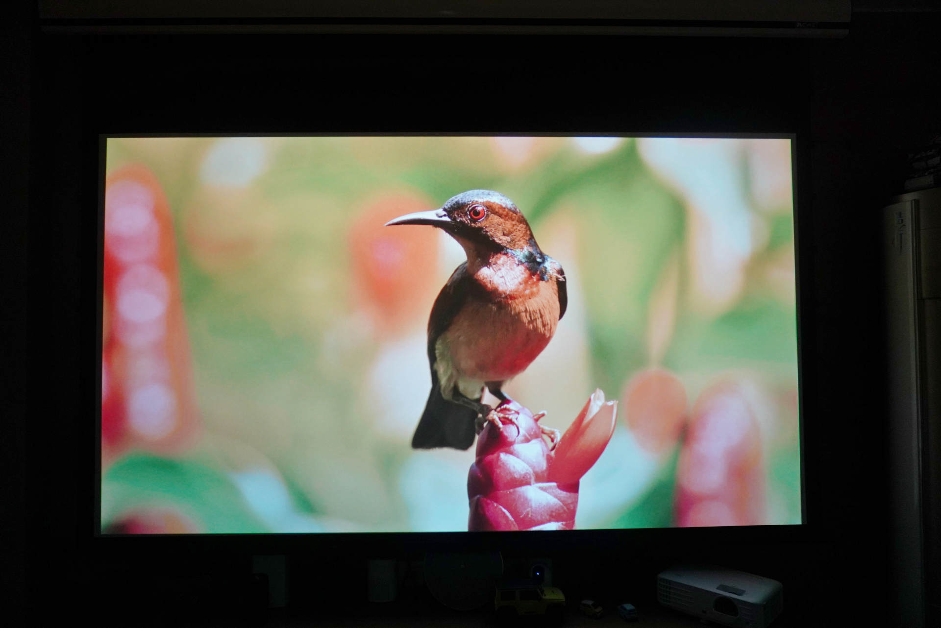 优派投影仪px701升级3d后有何区别,优派px7014kpro投影机好吗