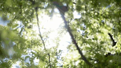 周末广州市内哪个公园最值得去,广州十大避暑旅游景点
