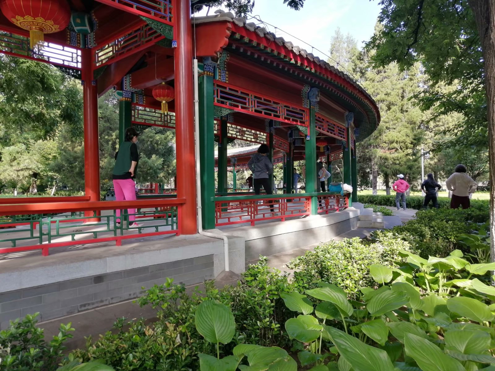 如何从零开始学踢毽子,如何学习踢毽子