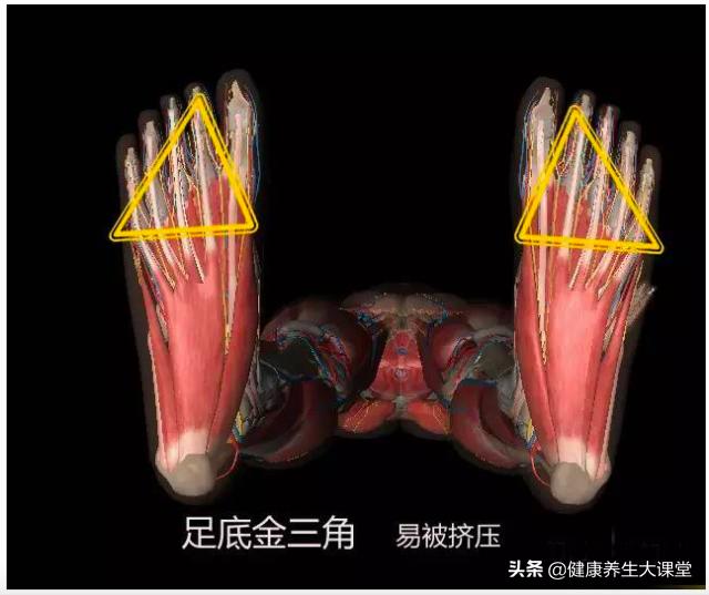 人体的十大危险区是什么,人体危险三角区指的是哪个部位