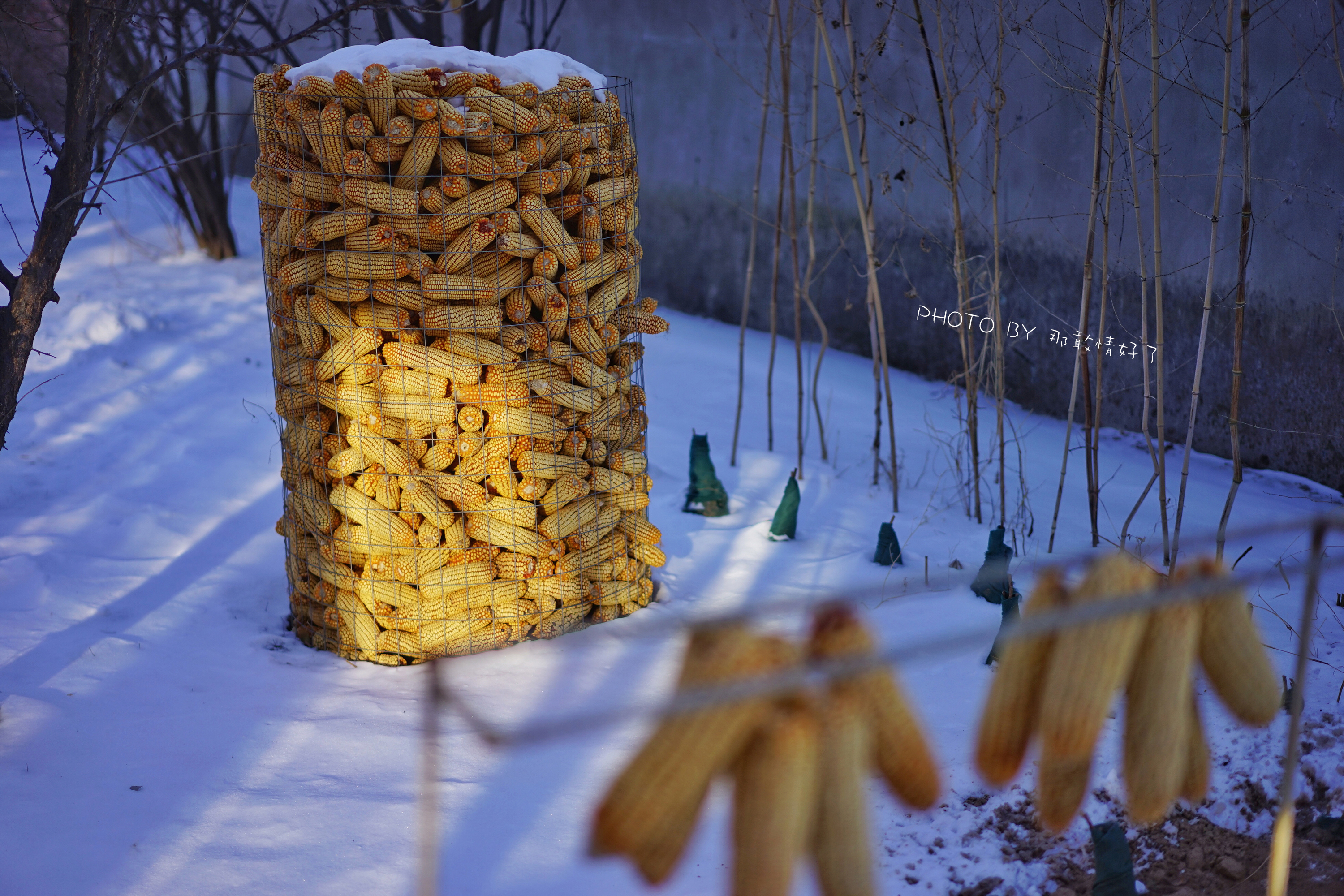 找回儿时年味,找回以前的年味