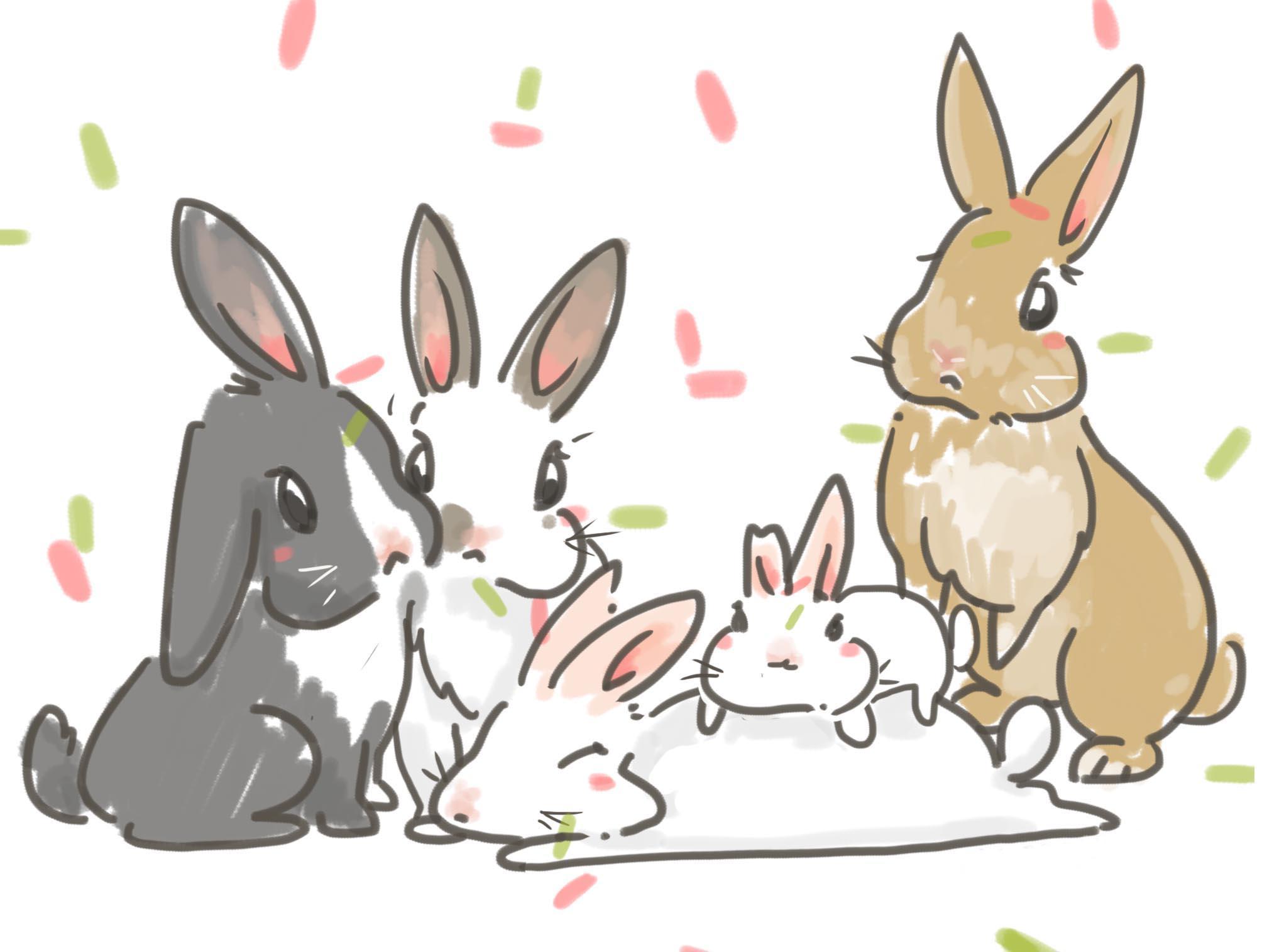 鍗佸彧閲庡厰瑙ｈ,鍏斿瓙鐪熺殑鑳界湅鎳傚悧