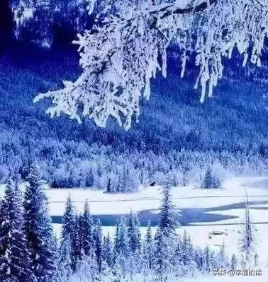 6月到了，送你6花6蝶6鸟6景6曲6诗，这月顺顺利利。