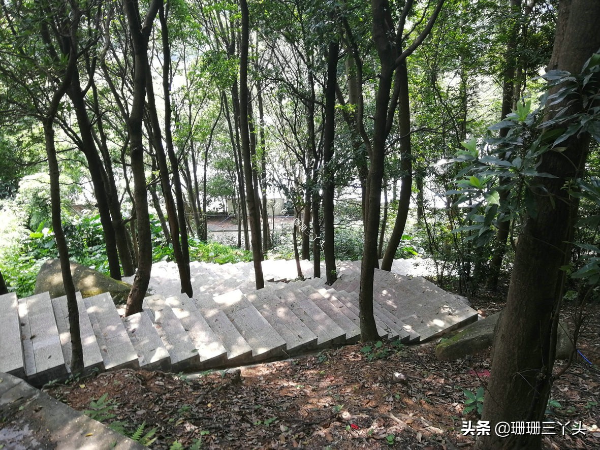 广州有座山,广州有和武功山差不多的山