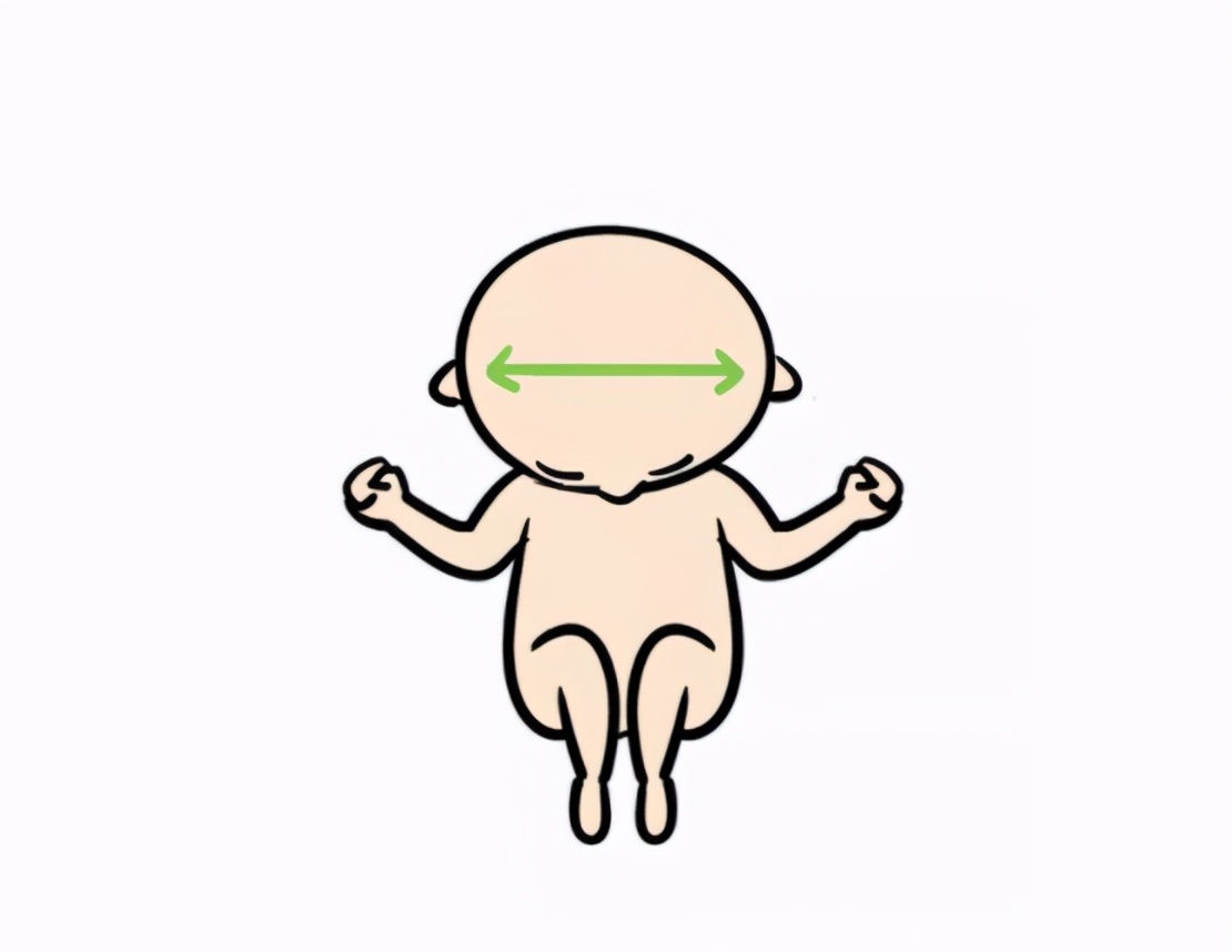 顺生胎儿双顶径多少,双顶径是哪个指标