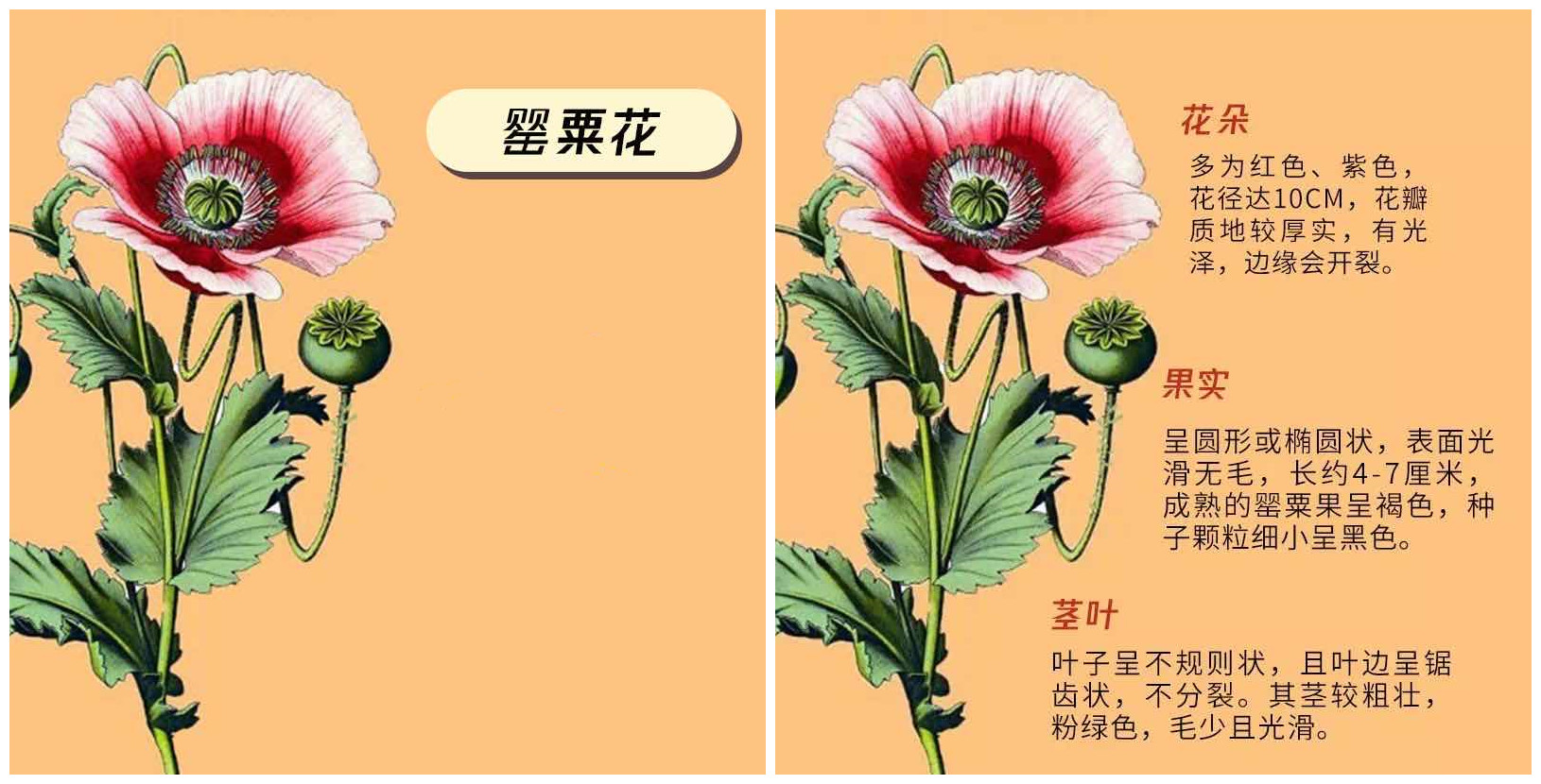 特殊时期外卖火锅,特殊时期能点外卖吗