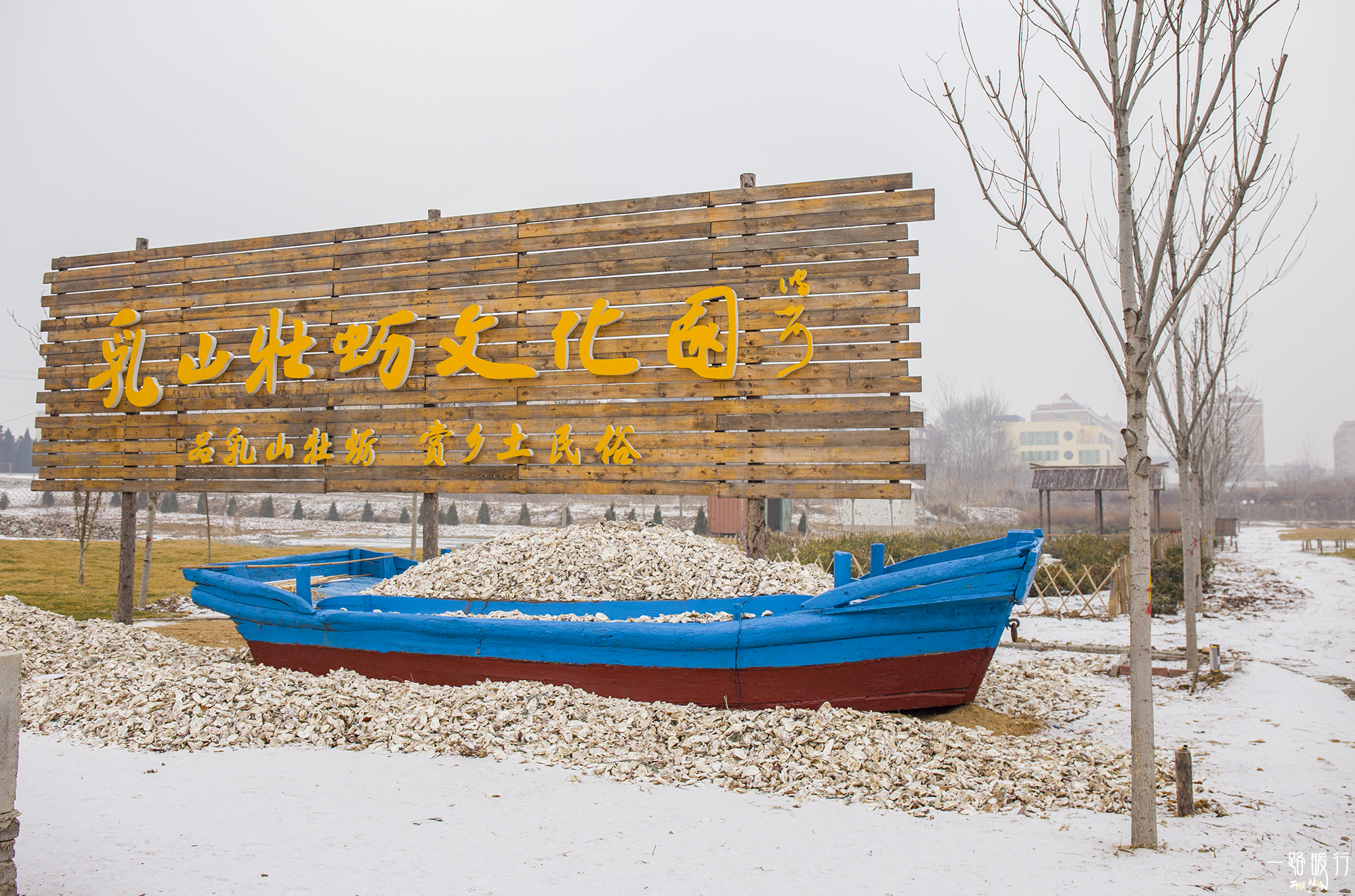 牡蛎生命意义,野生牡蛎的价值