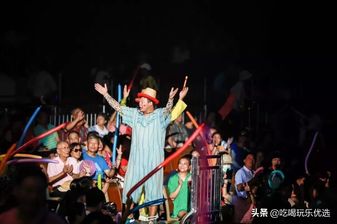 厦门灵玲动物王国大熊猫,厦门马戏团灵玲动物王国观光游览