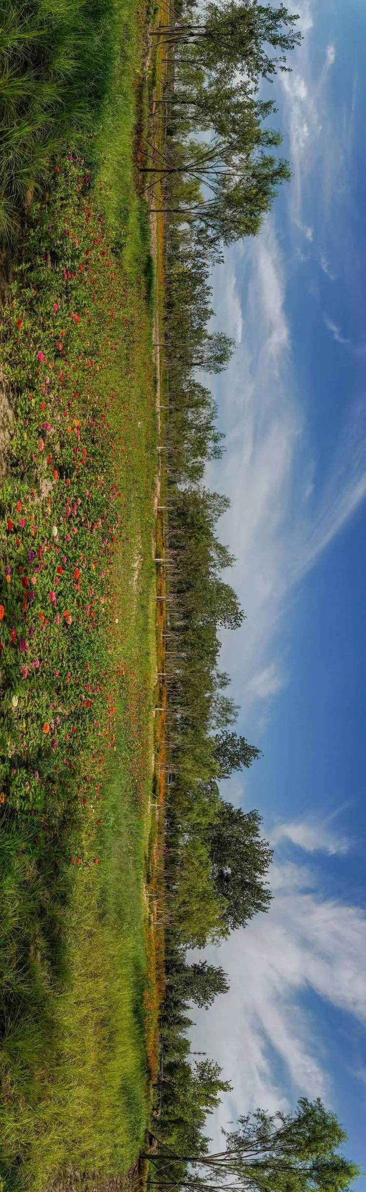 儿童乐园绿心公园,绿心公园儿童游乐区最新视频