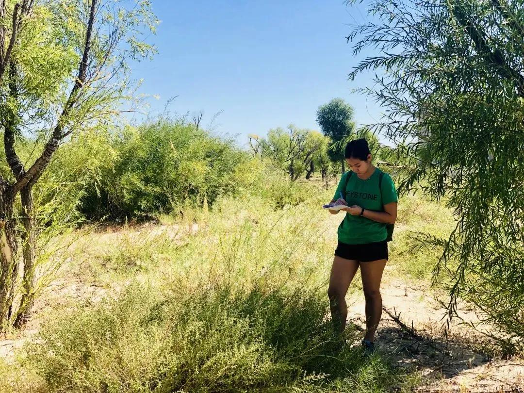 4位鼎石女生的科学梦
