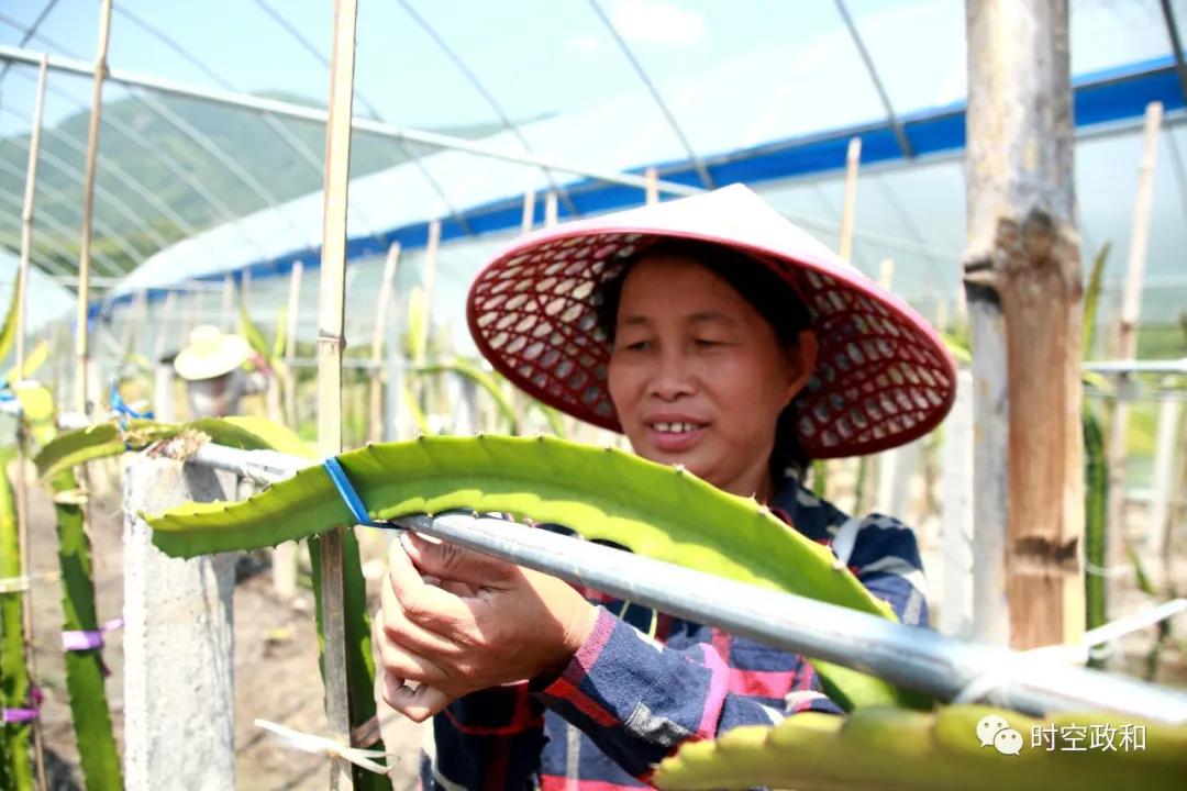 筑巢引燕归产业增活力,筑巢引凤返乡