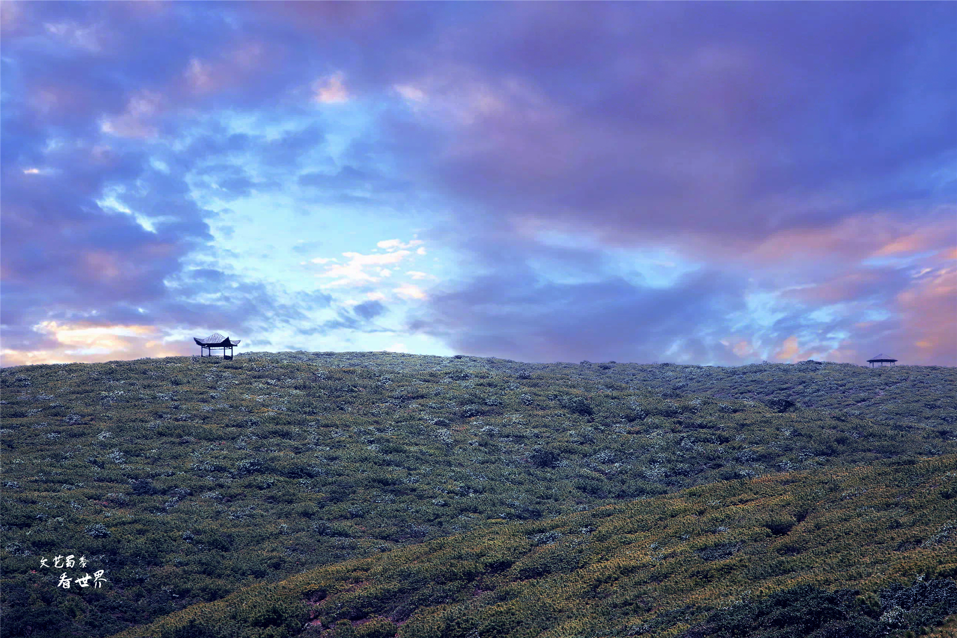 四川攀枝花适合过冬养老吗,攀枝花哪里成都人过冬最好