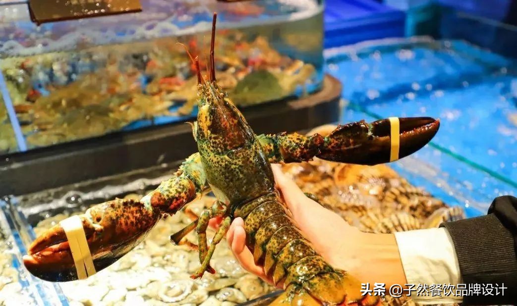 徐记海鲜成立于哪一年,徐记海鲜是怎样成为网红酒楼的