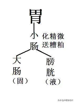 腹部不适口腔溃疡,腹部不适肠鸣屁多