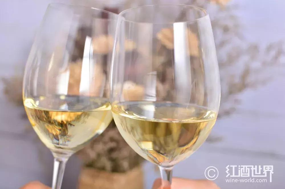 葡萄酒品鉴会礼仪,葡萄酒品鉴之术语