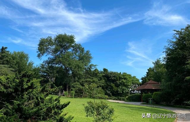 青岛动物园大熊猫馆从哪进,青岛动物园熊猫馆游玩攻略