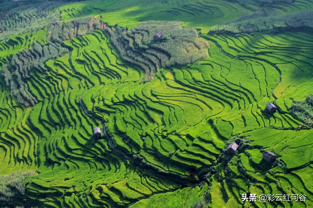 中国云南哪里好看,云南的云彩为什么好看