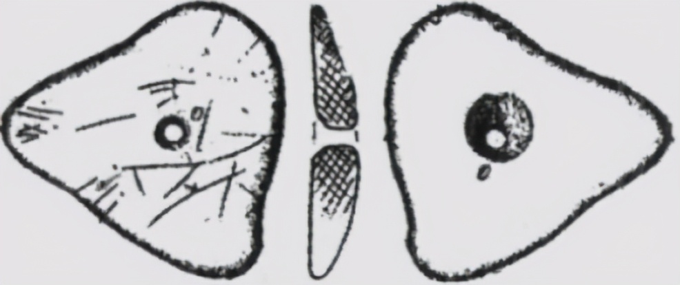 距今1.1万年前，中国人在西班牙卖麻绳网，写下“网”字