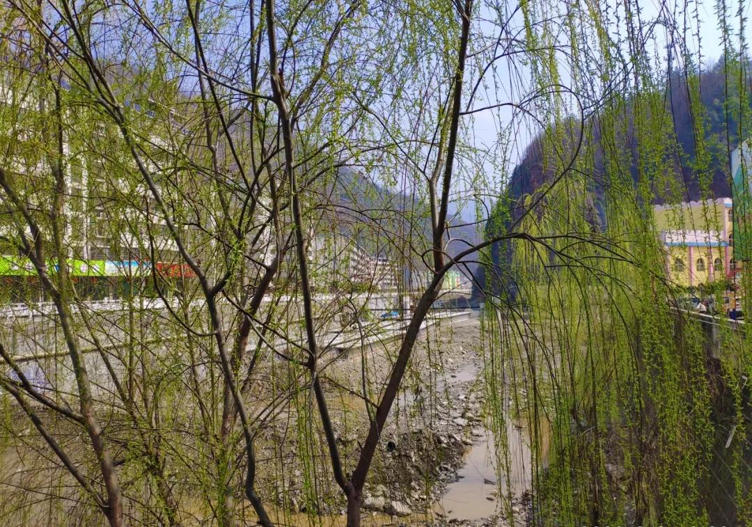 初来白河仓上，便喜欢上这个小镇