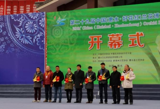 惠水第29届兰博会兰花获奖图片,惠水国际兰花展