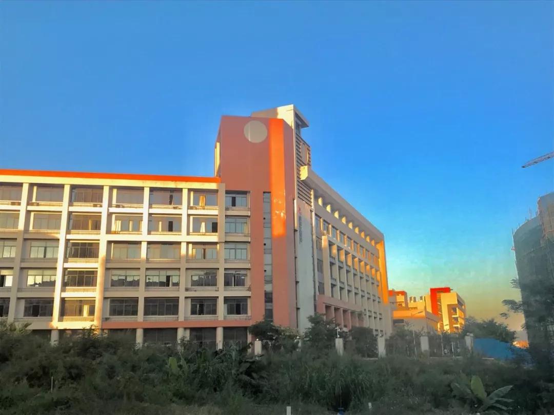 学考热门学校,学考热门专业院校