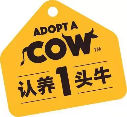 认养一头牛成功秘诀,认养一头牛200
