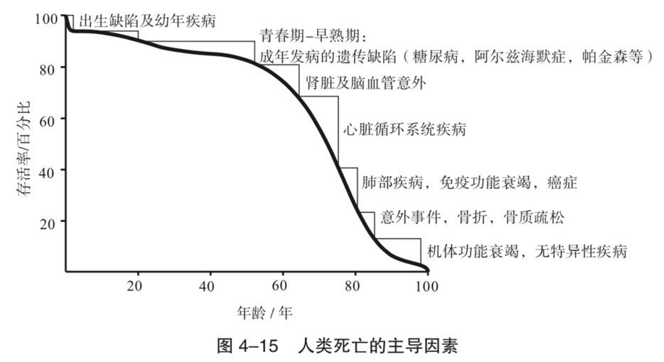 人能活多久由什么决定,人能活多久时间表
