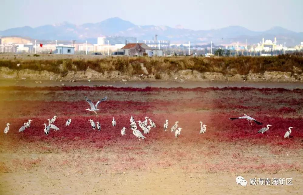 威海南海家园,威海南海新区最具幸福感城市