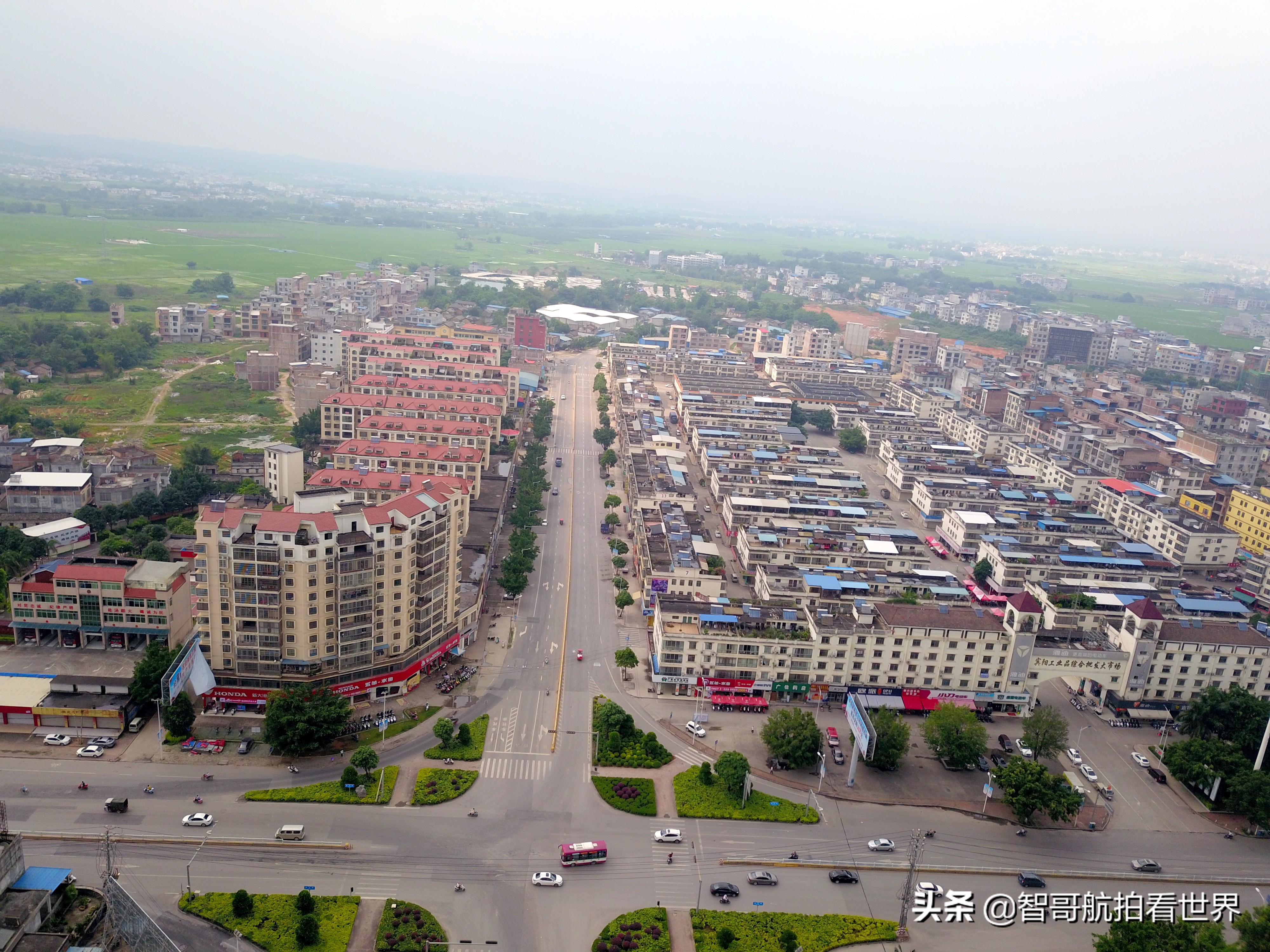 广西宾阳炮龙乡视频,宾阳炮龙之乡新闻