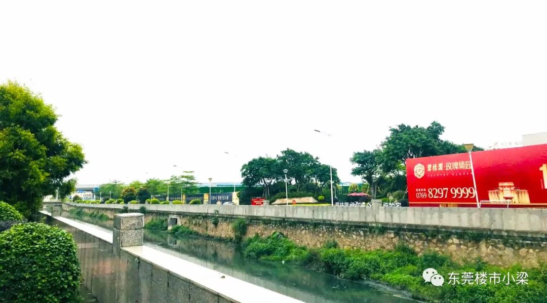 东莞碧桂园玫瑰臻园怎么样,东莞市碧桂园玫瑰臻园