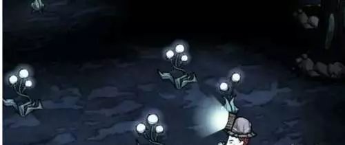 饥荒世界有尽头吗,世界这么大一起去看看教学