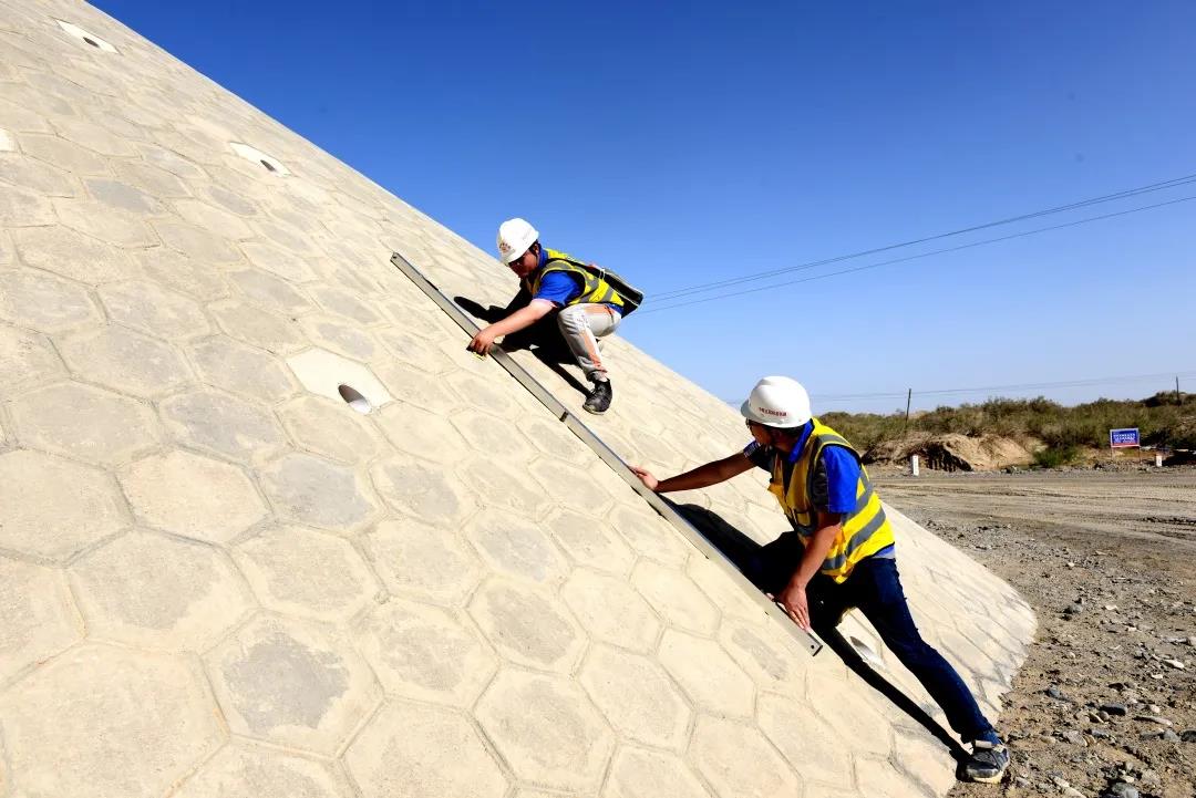倔强的骆驼舞蹈视频,倔强的骆驼歌曲