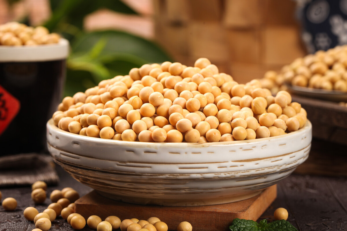 20210625-大豆是健康食品还是对您有害?(不同但有据的观点)