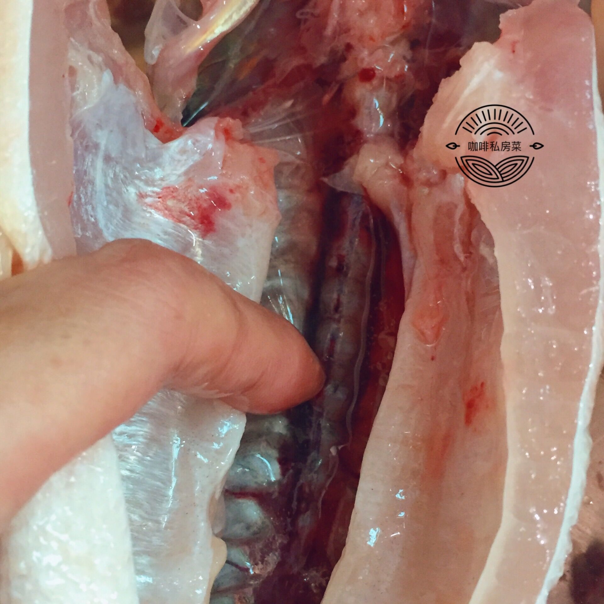 做清蒸鱼用什么油淋,清蒸鱼先放蒸鱼豉油还是先浇热油