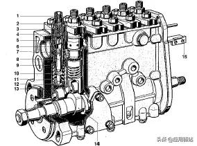 柴油机直列泵结构图,柴油机直列泵和共轨泵的区别