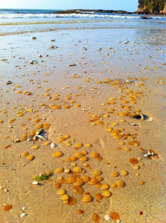 比鼓浪屿大12倍,比三亚安静10倍!这小岛最适合现在去,美轮美奂