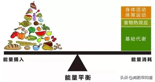 减肥遇到平台期减不下去了怎么办,减肥平台期不掉秤怎么度过