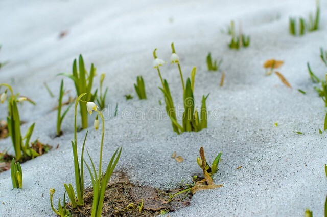 许三观卖血记讲的是什么时候的事,许三观卖血记人生感悟