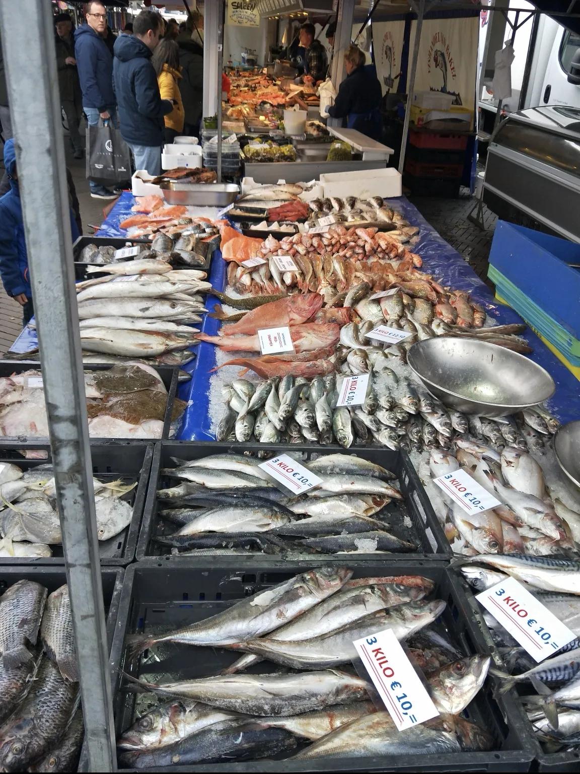 第一次出国就去荷兰,去荷兰怎么去最方便