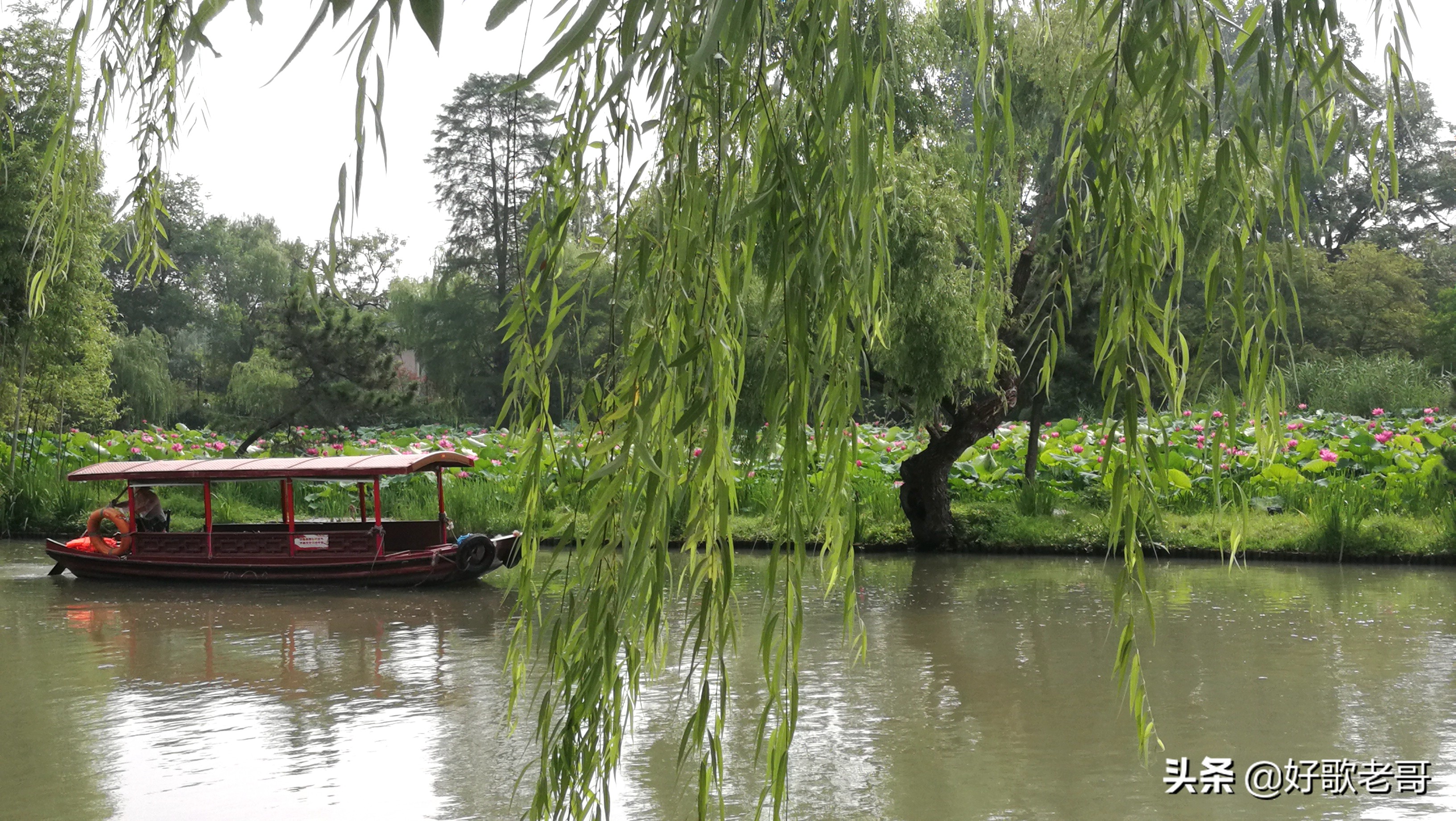 十里湖光，清澄缥碧，花木扶疏，连绵滴翠…瘦西湖游记