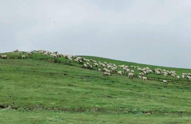 为什么西宁被评为最宜居的城市,青海被低估的旅游景点