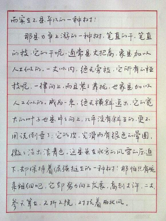 李洪川钢笔书法评价,李洪川钢笔书法自身的特色在哪里