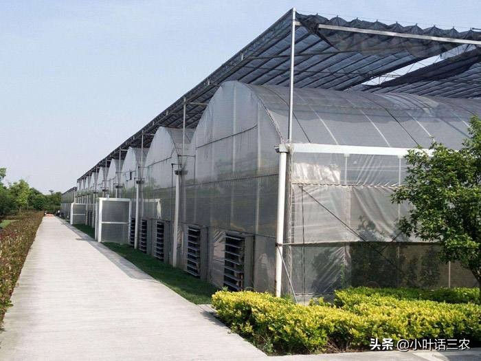 种植类扶贫项目有哪些,新型扶贫项目大全